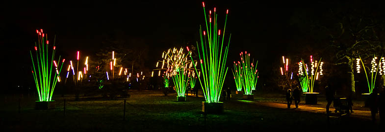 Light Flower Sculptures at Kew Gardens