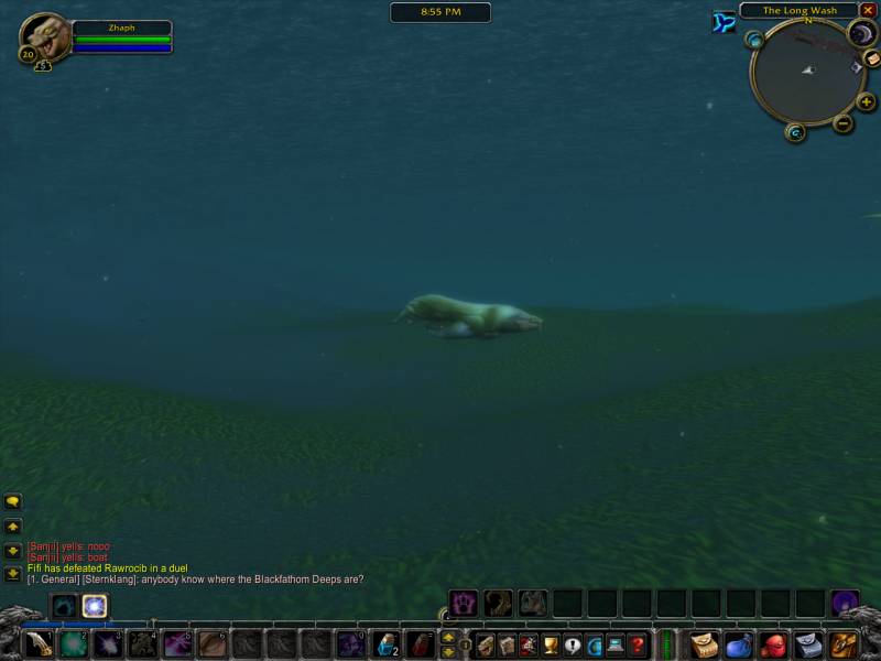 Swimming as a sea lion