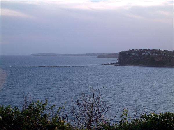 DSCF0038.jpg