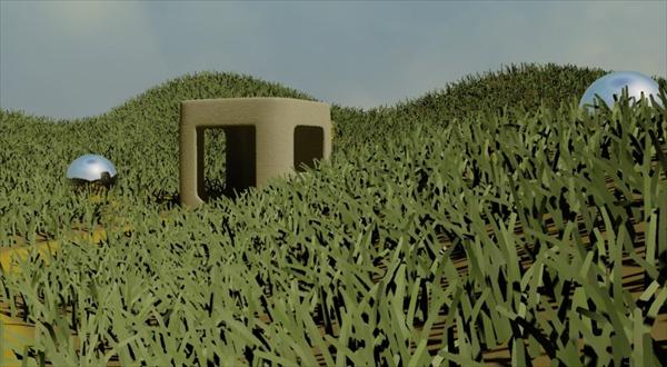 With sky and grass