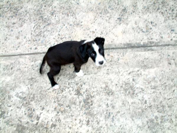 DSCF0103.jpg