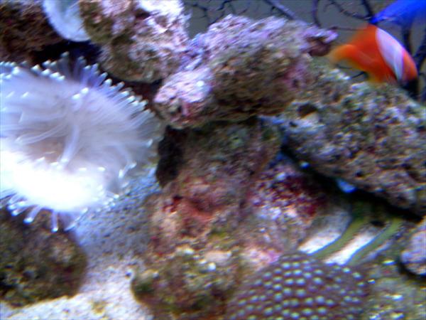 DSCF0113.jpg