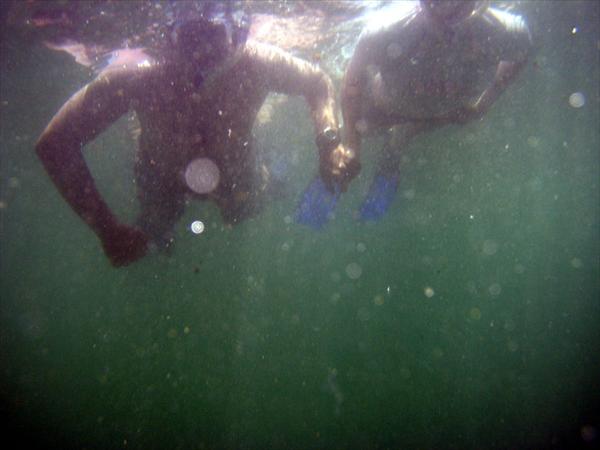 P1010044.jpg