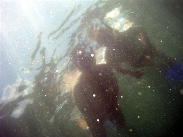 P1010045.jpg