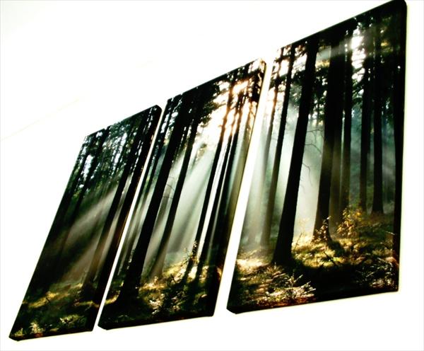 HDR Tiptrych - Trees