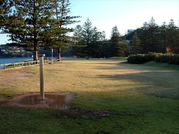 DSCF0037.jpg