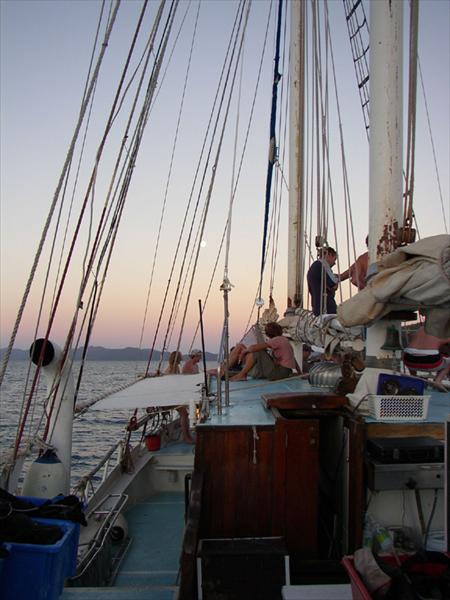 P1010003.jpg