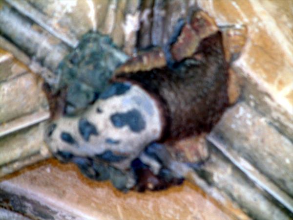 DSCF0070.jpg