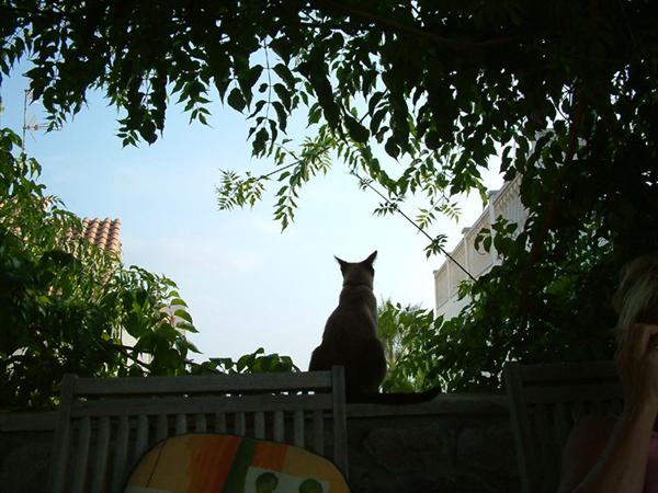DSCF0100.jpg