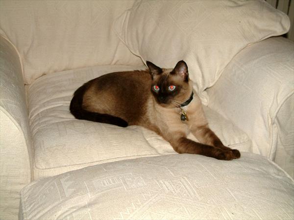DSCF0129.jpg